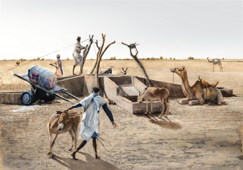 Ilustración camellos y burros en pozo